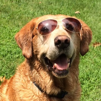 dljhwk's profile picture. 