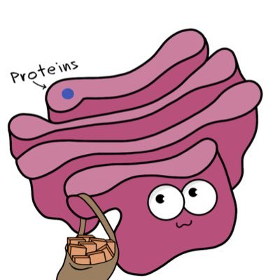 CellTranspoAuth's profile picture. The leading transportation system of the cell. #Science