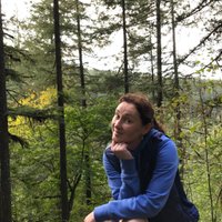 DeniseTormey (@denisetormey) 's Twitter Profile