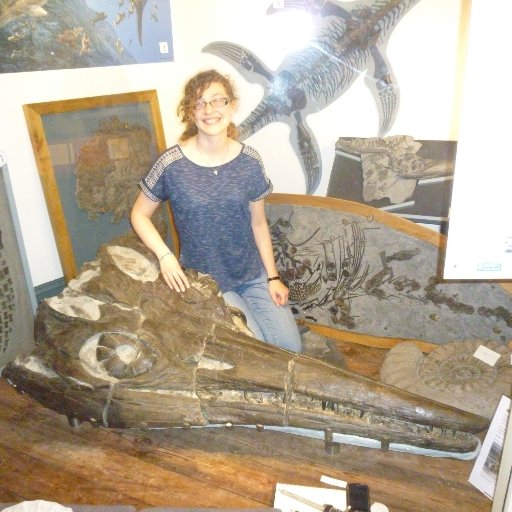 Documentation Officer @MuseumFolly 🏛️
Outreach Coordinator @FossilsH 🐚
Palaeontologist @universiteliege 🐬
Heritage, collections & community engagement