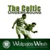 Celticunderground (@celticrumours) Twitter profile photo