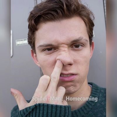 hollanderspidey Profile Picture