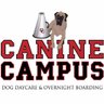 CanineCampusCO's profile picture. Canine Campus is an award-winning pioneer in the world of dog daycare and overnight boarding, open since 1999.
