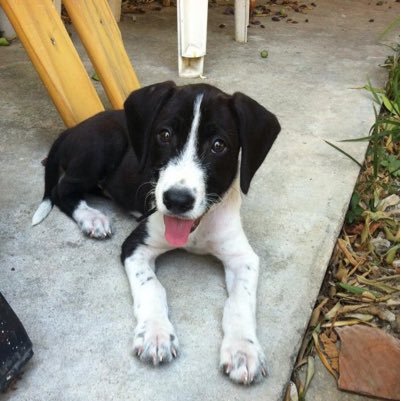 BruRobb's profile picture. 