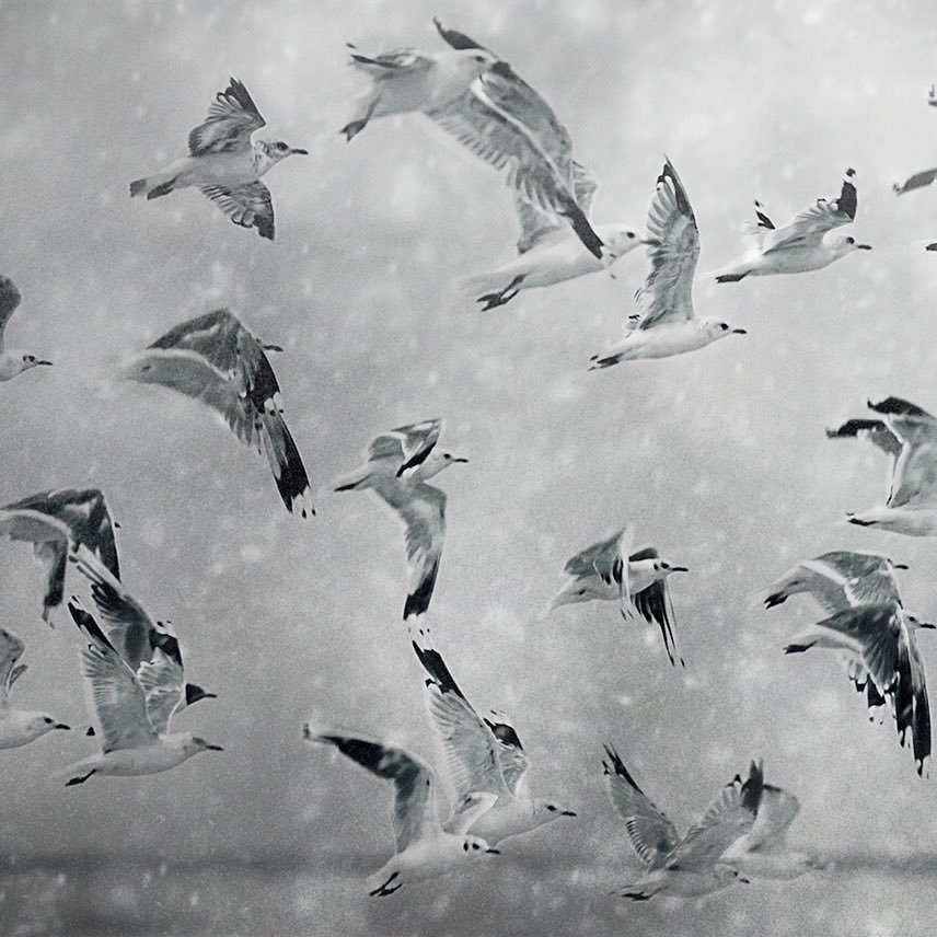 ckarl_lu's profile picture. 