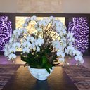 Evangelina Solís - @EvanSolis - Twitter