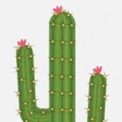 Creative regeneration consultancy growing spaces and micro communities on purpose 🌵...with quiet Tenacity from @Stoicstacey