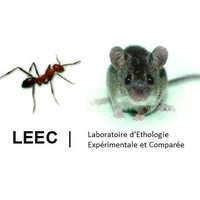 Ethology LEEC Paris(@LEEC_USPN) 's Twitter Profile Photo