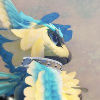 Niemontal (@niemontal) 's Twitter Profile