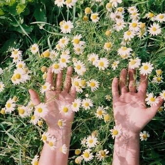 software engineer😌
FCIS🏣 graduated 2019 🎓FrontEnd Developer & WordPress Developer at RoQay Company💻💙
🌷🌹🌼🌻🌺🌸🌱🍁🍂🍀🌴🌳🌲🌿🌾
