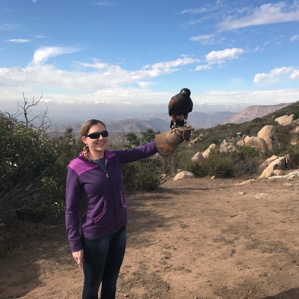 zendogette's profile picture. 