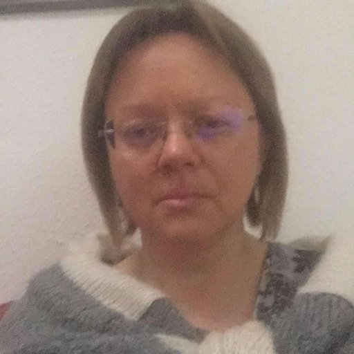 Translator EN, ES, FR - RU. Teacher of Russian. MA in Linguistics and Translation, Ph.D. in Philology.