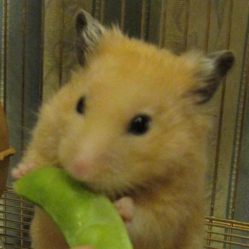 mtake's profile picture. 某外資系コンピュータ会社で研究と開発の仕事を行ったり来たりしています。