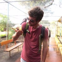 Julian Burr (@jburr90) 's Twitter Profile