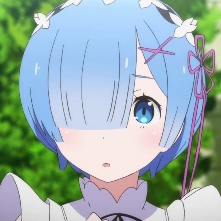 rem is best girl.