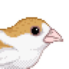ponzubird Profile Picture