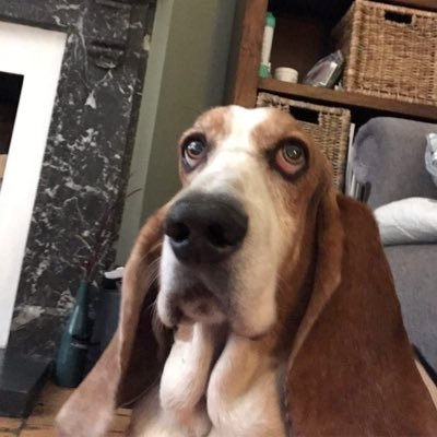 MathewBright7's profile picture. 