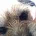 Jennie Huntley (@jaghuntley) Twitter profile photo Jennie Huntley (@jaghuntley) Twitter profile photo