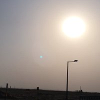 Abdullah (@abdullahx12) 's Twitter Profile