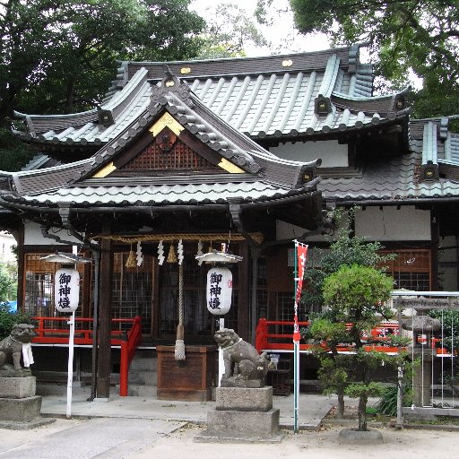 兵庫県西宮市上甲子園四丁目に鎮座する甲子園八幡神社です。 拝殿の扁額に四社大神宮と有り古くから天照皇大神、八幡大神、春日大神、住吉大神の四柱の神様をお祀りし、また昭和十六年当社前の川の造成中に発掘された甲子出世大国(大国主大神)、境内末社として、徳光神社(五社稲荷大神)と八大神社(素戔嗚尊)があります。猫大盛りがち。