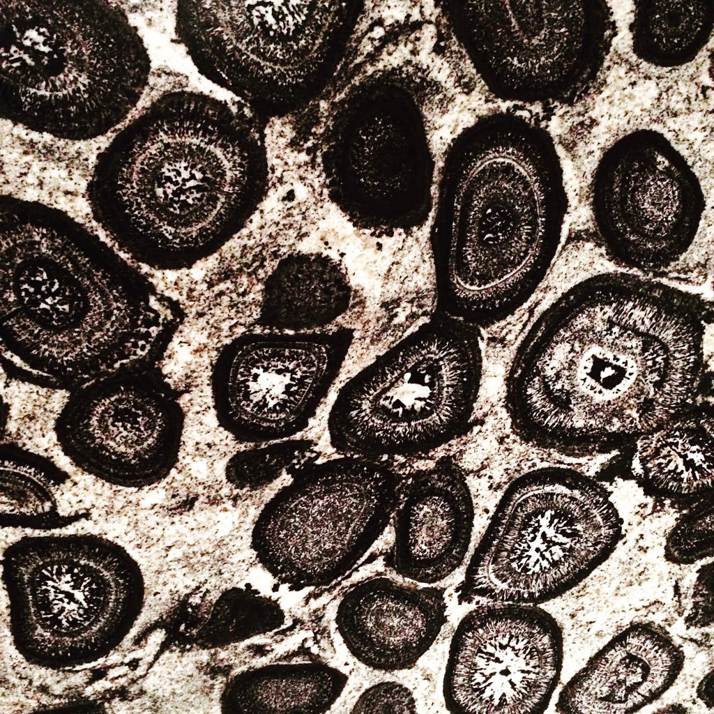 angela_aryall's profile picture. 