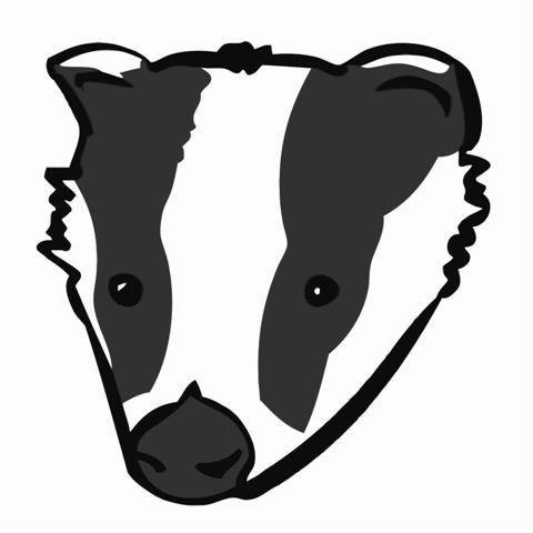 Completely opposed to the killing of badgers in Wales