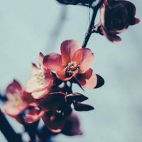 . (@xire9) 's Twitter Profile