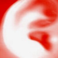 鬼木幸治 Koji Oniki Filmmaker 오니키 코우지 (@xiopamine) 's Twitter Profile Photo