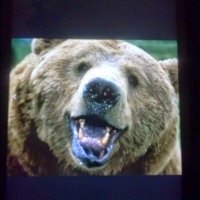 Josef Szentjobi (@josefszentjobi) 's Twitter Profile
