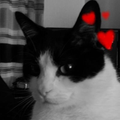 DimplesL42's profile picture. 