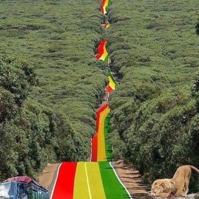 jam_jungle's profile picture. Never stop jamming to sweet good vibes