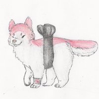 Memelord Sniper/Sgt Sooshie Prosciutto (@queensooshers) 's Twitter Profile