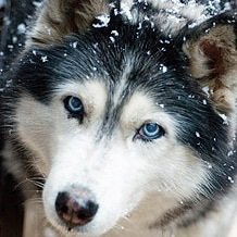 ponhouse2006's profile picture. 記憶を書き変えるお仕事