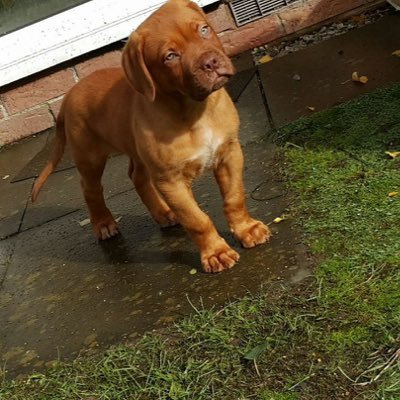 ryanmcollom's profile picture. 