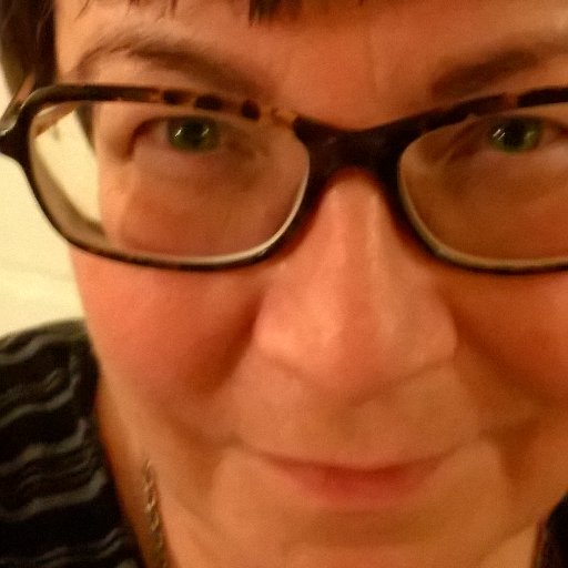 BA from Uni Helsinki. Specialities languages (BrE,SV,SP,FR,DA) & lit (fiction). Loves etymology. Would as good as kill to translate a novel into FI.