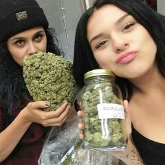 we are suppiers of top shelf medical marijuana strain,cannabis oil, vape, shatter and wax ,we do ship https://t.co/iWVnzOAGDj can contact me on whatsapp +18134382382