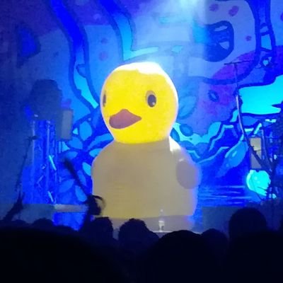 lebLoug's profile picture. #édition #science