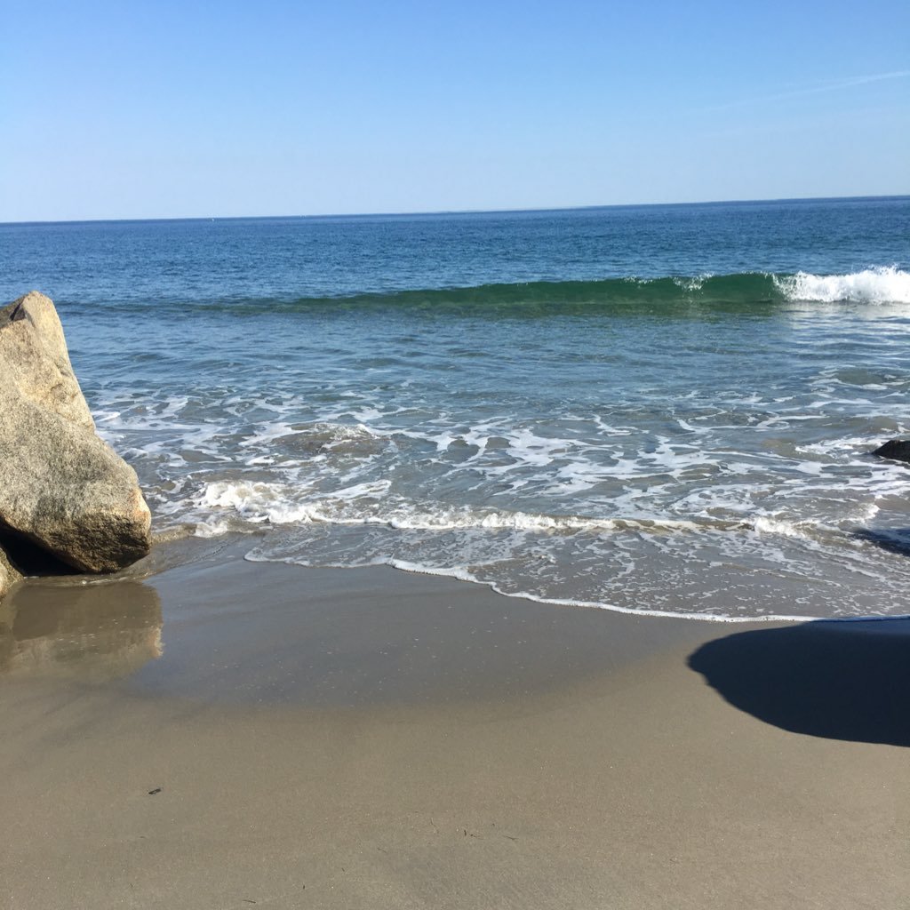 chad_carpentier's profile picture. Chad Carpentier is a Dedicated professional who enjoys working hard and playing harder