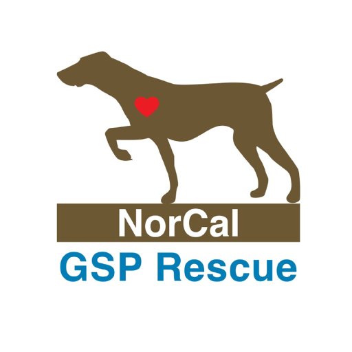 All volunteer, non-profit (501(c)3) organization. Mission: To bring about a time when every GSP has a loving forever home.