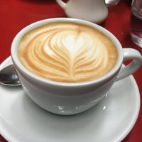 drlynn (@madeleine_pryor) 's Twitter Profile
