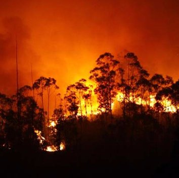 Rede de Investigación e Acción Comunal sobre os Montes e o Lume Forestal na Galiza.

En Rede, Anónimxs, con Memoria.