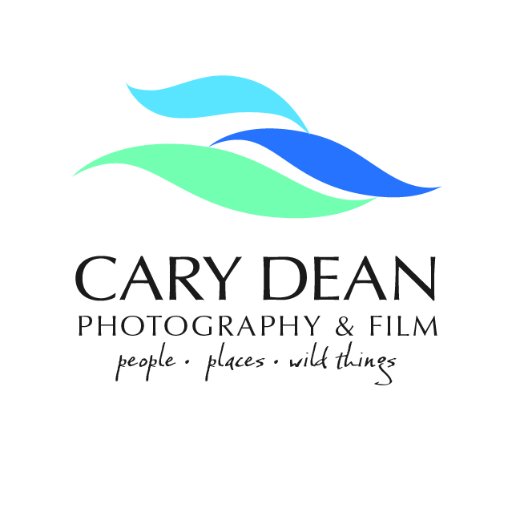 carydeanphoto's profile picture. A South East Asia Based Travel, Natural History & Underwater Photographer & Filmmaker. In search of authentic moments and Adventure.
Educate, Engage, Inspire.