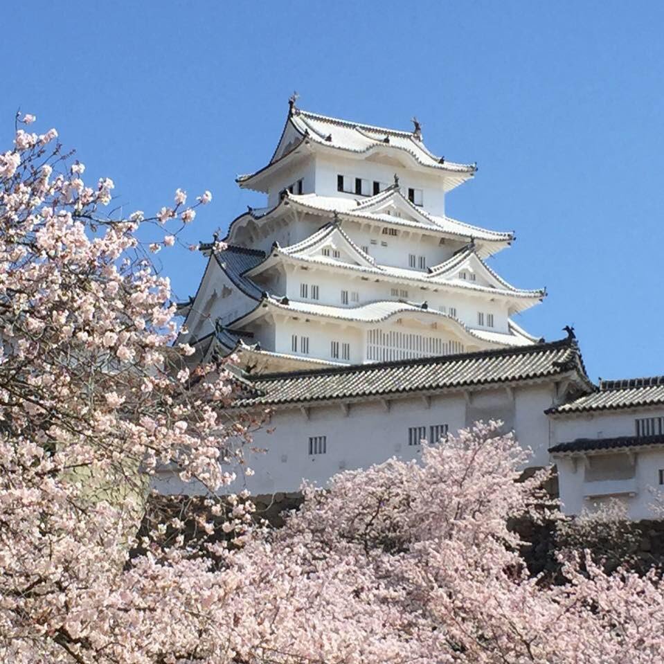 supernamekuji's profile picture. 