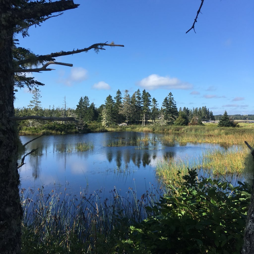 AngelAloha50's profile picture. Living Just For Today