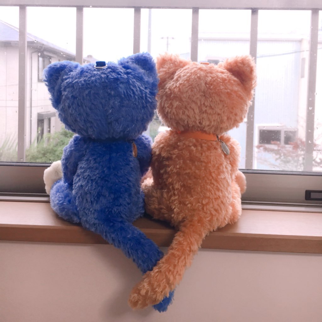 藍耶♪さんのプロフィール画像