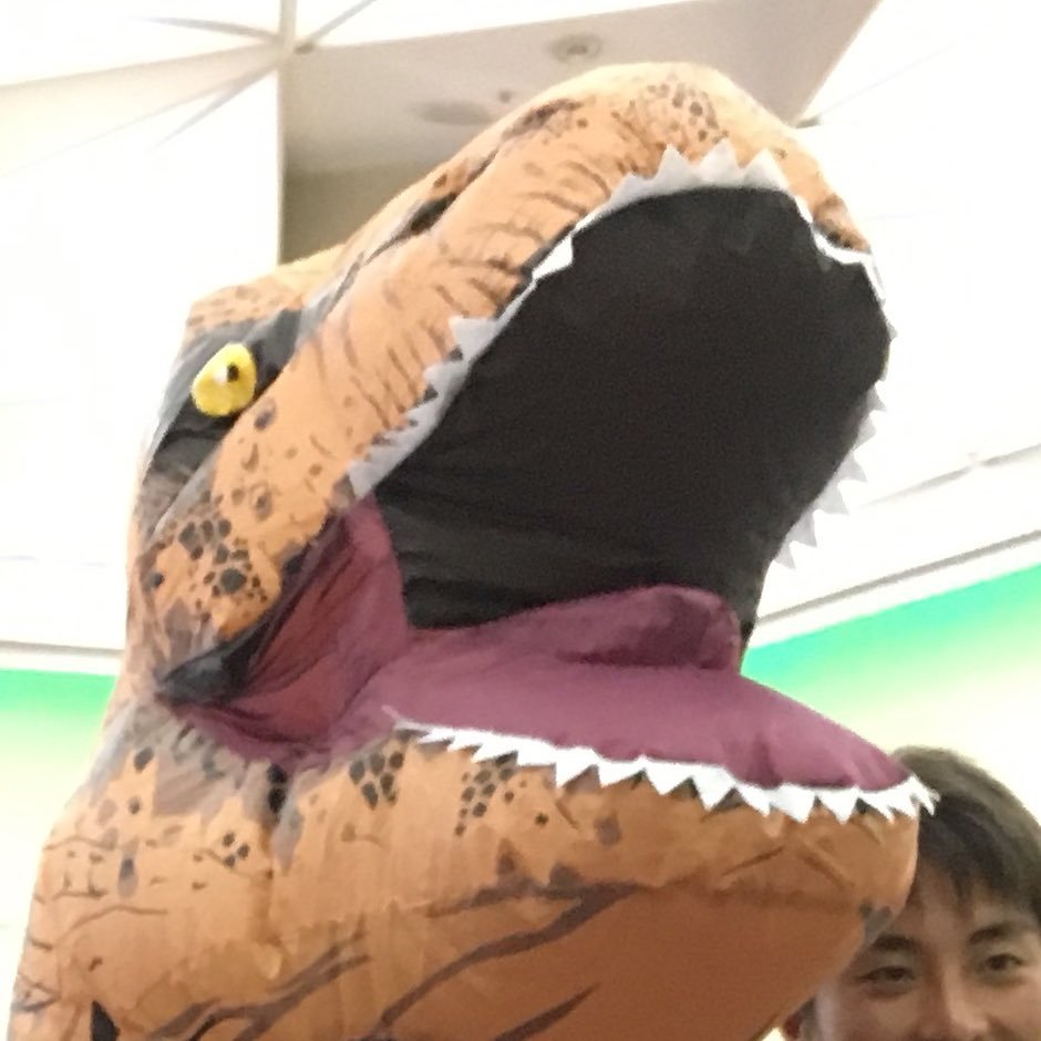 福井のスポーツを応援する野良恐竜(ワイルド・ダイナソゥッ) 📣🦖 福井ユナイテッドFC、福井丸岡RUCK 、福井永平寺ブルーサンダー and more..