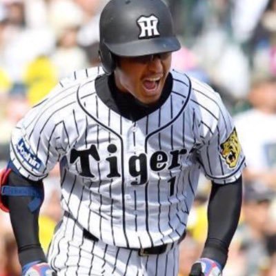 阪神ファン！！よろしくです！阪神優勝！基本的にフォロバします！他球団は、しないかもです！阪神ファンフォローお願いします！！