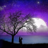 همسات مؤجلة (@lostwhisperssa) Twitter profile photo