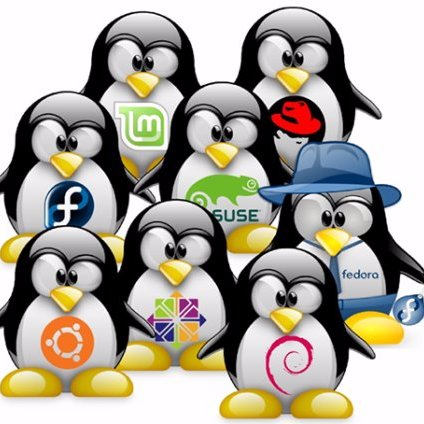 linuxs0's profile picture. 