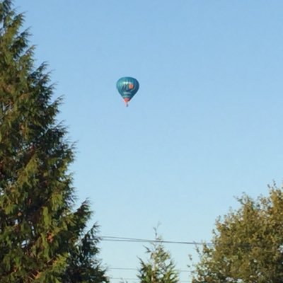 MarionPetton's profile picture. #facilitateam #mixiteinside